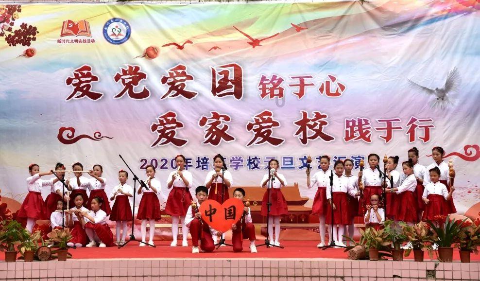 迷你淘气猪逃脱